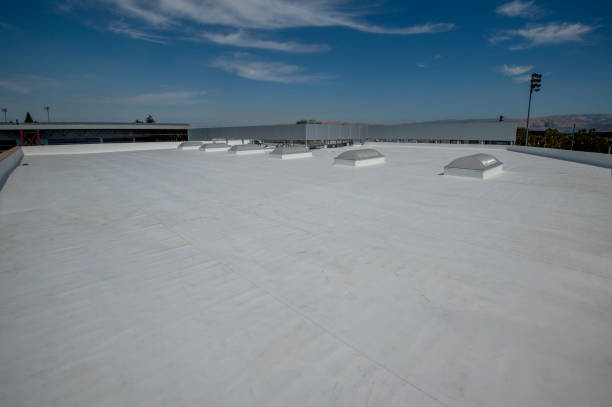 Best Metal Roofing Installation  in Laton, CA